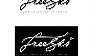 FreeSki